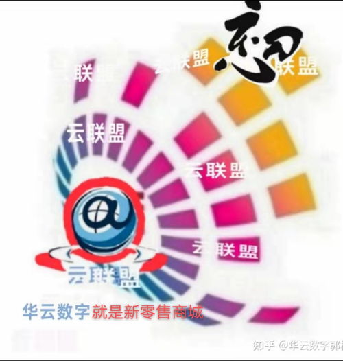 华云数字 从工厂直达消费者的营销革命